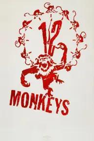 Movie poster of 12 Monkeys