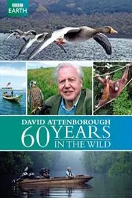 Movie poster of Attenborough: 60 Years In The Wild