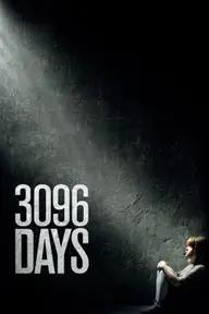 Movie poster of 3096 Tage