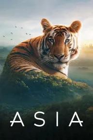 Movie poster of Asia