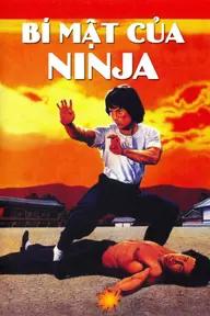 Movie poster of Ninja Knight 2: Roaring Tiger