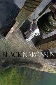 Movie poster of Black Narcissus