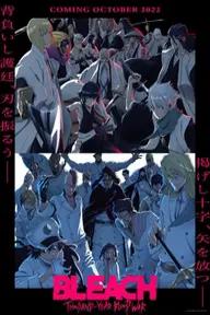 Movie poster of BLEACH Thousand-Year Blood War