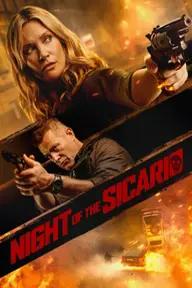 Movie poster of Night of the Sicario (Blindsided)