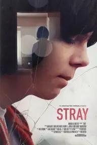 Movie poster of Stray