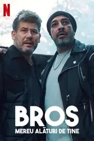 Movie poster of Bros