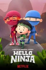 Movie poster of Hello Ninja (Season 3)