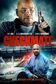 Movie poster of Checkmate