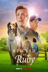 Movie poster of Rescued by Ruby