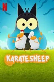 Movie poster of Karate Sheep