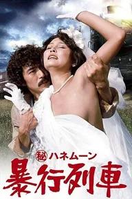 Movie poster of Secret Honeymoon: Assault Train