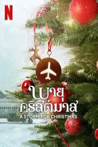 Movie poster of A Storm for Christmas