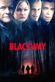 Movie poster of Blackway