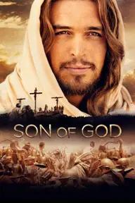 Movie poster of Son of God