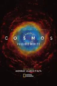 Movie poster of Cosmos: Possible Worlds