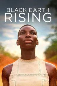 Movie poster of Black Earth Rising