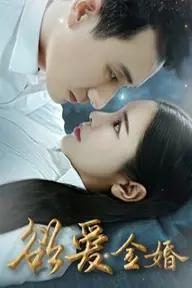 Movie poster of the Last Wish