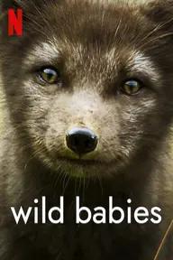 Movie poster of Wild Babies