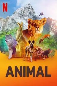 Movie poster of Animal (Season 1)