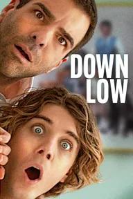 Movie poster of Down Low