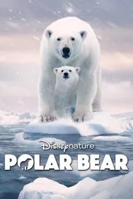 Movie poster of Polar Bear