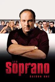 Movie poster of The Sopranos (Season 1)