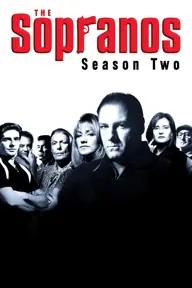 Movie poster of The Sopranos (Season 2)