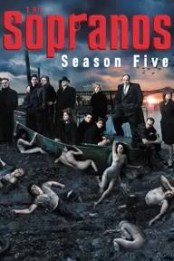 Movie poster of The Sopranos (Season 5)