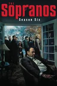 Movie poster of The Sopranos (Season 6)