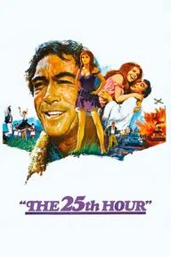 Movie poster of The 25th Hour