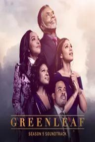 Movie poster of Greenleaf (Season 5)