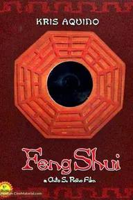 Movie poster of Feng Shui