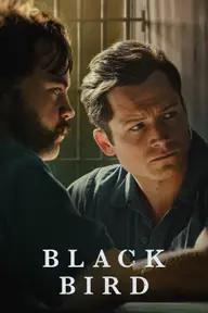 Movie poster of Black Bird (Season 1)