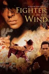 Movie poster of Fighter in the Wind