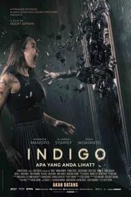 Movie poster of Indigo