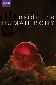 Movie poster of Inside the Human Body