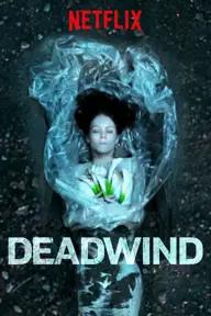 Movie poster of Deadwind (Season 3)