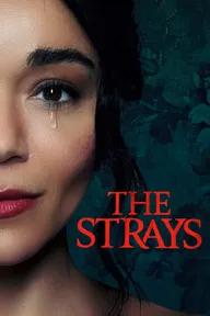 Movie poster of The Strays