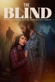 Movie poster of The Blind