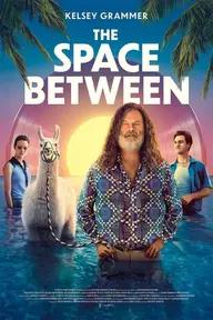 Movie poster of The Space Between