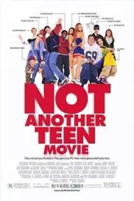 Movie poster of Not Another Teen Movie