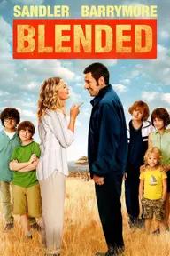 Movie poster of Blended