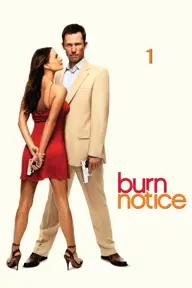 Movie poster of Burn Notice (Season 1)