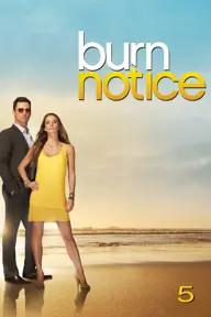 Movie poster of Burn Notice (Season 5)