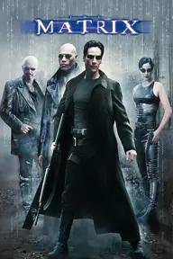 Movie poster of The Matrix