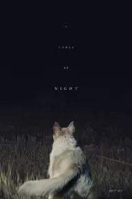 Movie poster of It Comes At Night