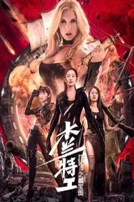 Movie poster of Mulan Angles