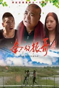 Movie poster of 南湖振哥