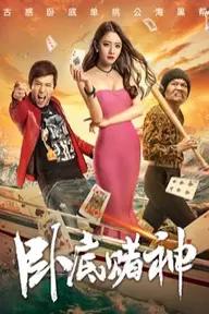 Movie poster of The Undercover Hero