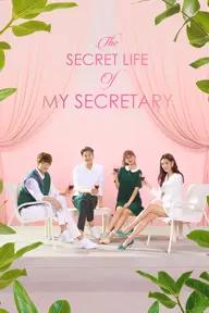 Movie poster of The Secret Life of My Secretary